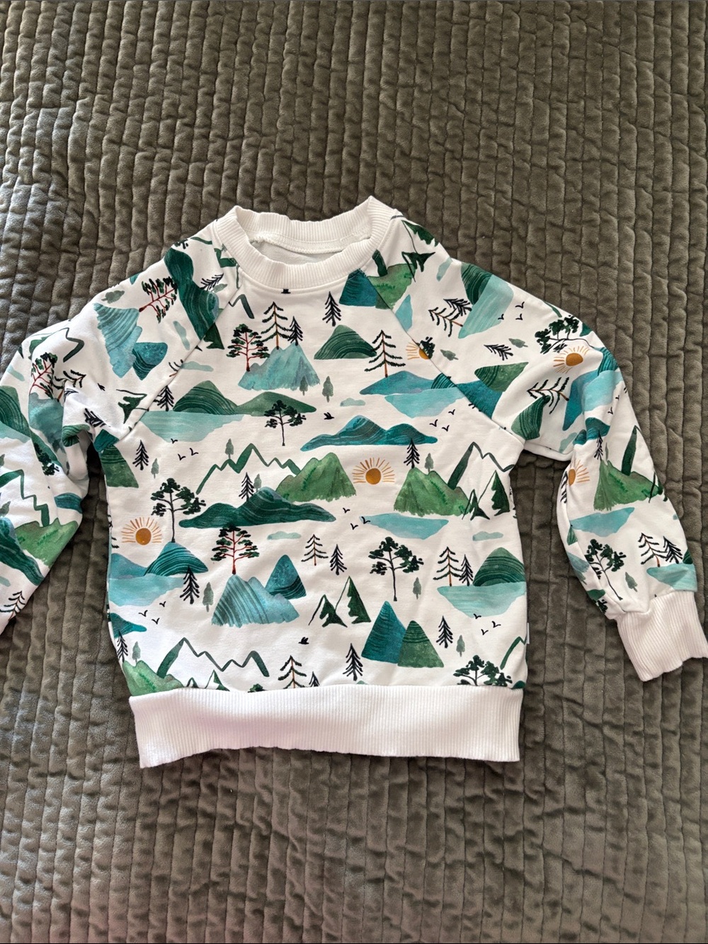 Little Sleepies toddler sweatshirt